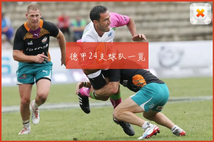 德甲24支球队一览