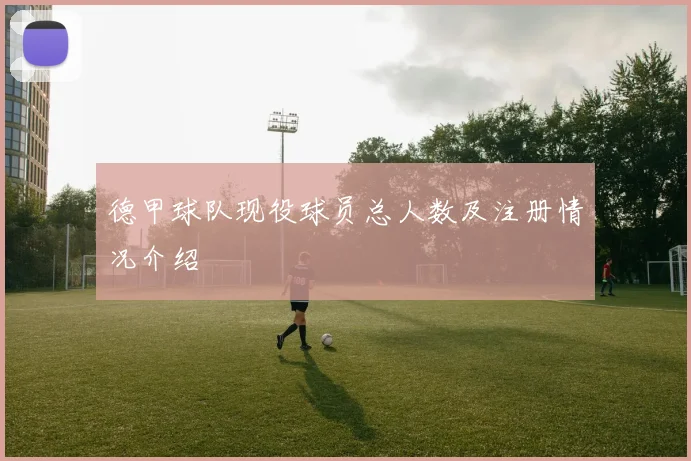 德甲球队现役球员总人数及注册情况介绍